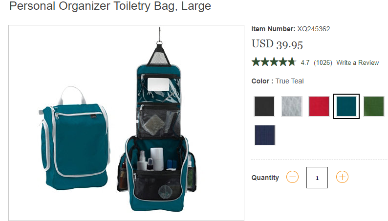 Personal Organizer Toiletry Bag Large LL Bean Intl