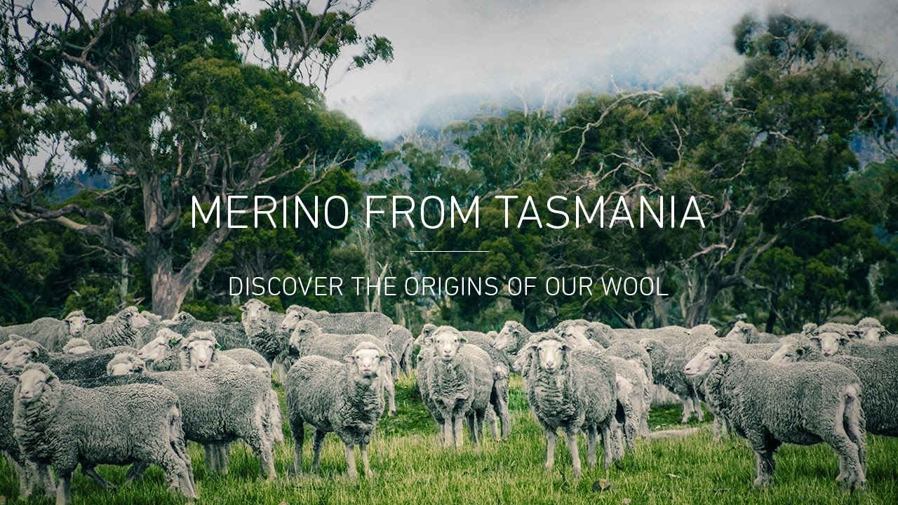 Tasmanian Superfine Merino Fleece, Australian Wool ktmart 0