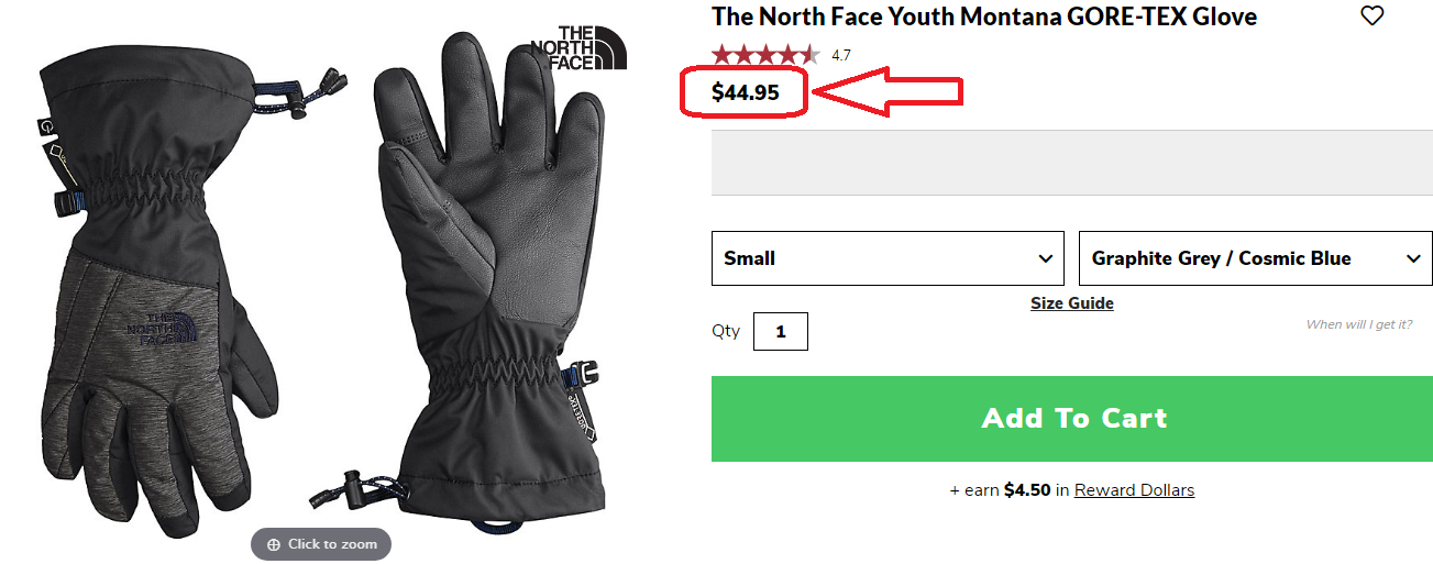 The North Face Youth Montana Gore-Tex Glove NF0A3357 The North Face ktmart 1
