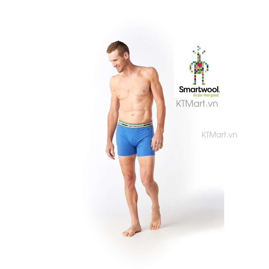 Smartwool Men’s Merino 150 Micro Stripe Boxer Brief SW014012 Smartwool size S, M, L