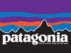 Patagonia Planing Divider Pack 30L 48480 Patagonia – Outdoor Online Store