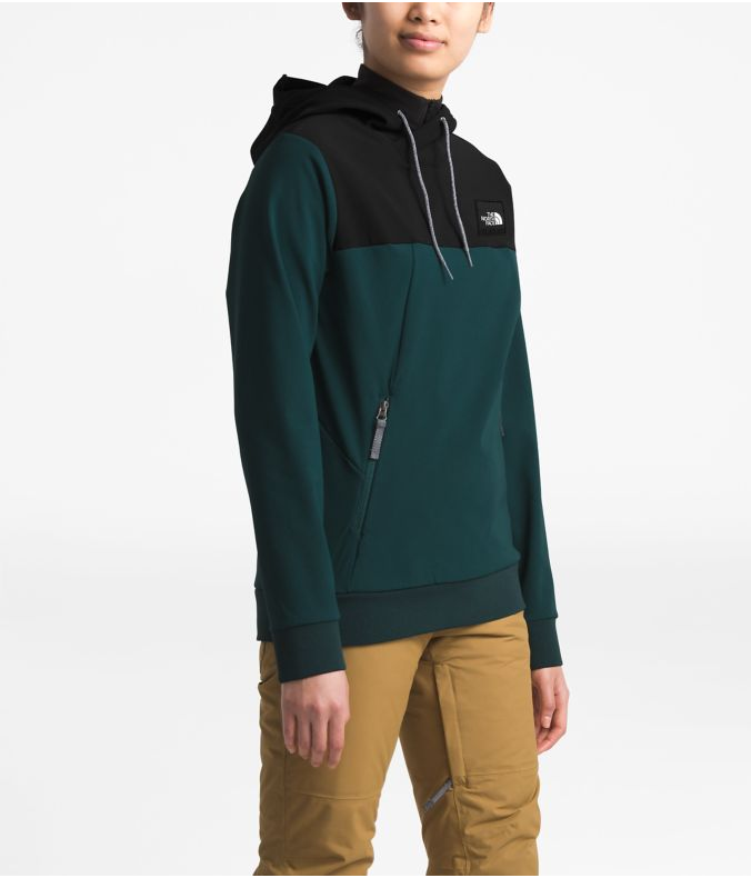 THE NORTH FACE NF0A3M1B WOMEN’S TEKNO HOODIE PULLOVER3