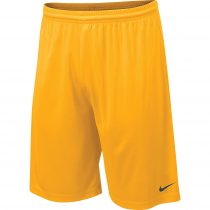 Nike Men's Team Fly Dri-Fit Shorts