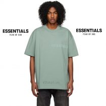 Essentials SSENSE Exclusive Blue T-Shirt ktmart 0