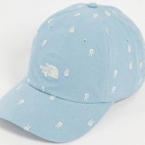 The North Face Washed Norm Cap In Blue NF0A3FKN ktmart 1