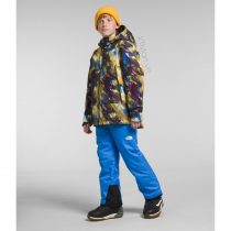 The North Face Boys’ Freedom Insulated Jacket NF0A82XQ ktmart 10