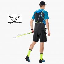 Dynafit Alpine Shorts Men 0000071160 ktmart 5