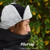 Pilot cap 1