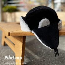 Pilot cap2